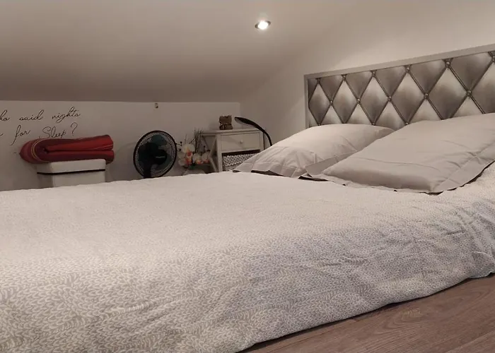 Dependance Privee Avec Entree Autonome Accommodatie bij particulieren Toulouse